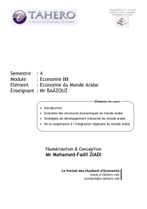 Economie du Monde Arabe