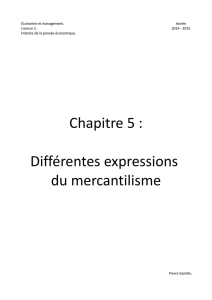 Chapitre 5 : Différentes expressions du mercantilisme