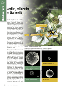 Abeilles, pollinisation et biodiversité