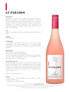 Diapositive 1 - Paradou Wines