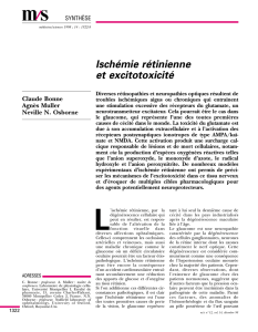Ischémie rétinienne et excitotoxicité - iPubli