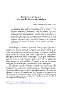 Expérience d`image : entre emblématique et physique