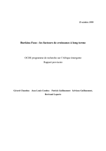 Burkina Faso : les facteurs de croissance à long terme