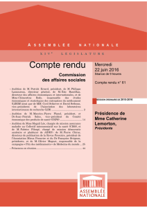 Compte rendu - Assemblée nationale