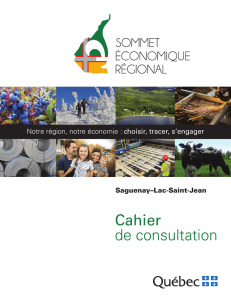 Cahier de consultation - Sommet économique régional 2015