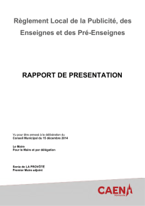 Rapport présentation