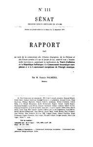 Rapport numéro 111