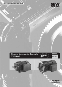 Catalogue Moteurs à économie d`énergie DTE/DVE