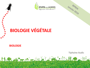 BIOLOGIE VÉGÉTALE