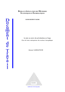 06/2004. La mise en oeuvre des privatisations au congo
