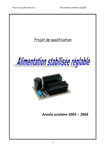 Projet de qualification Année scolaire 2003 – 2004