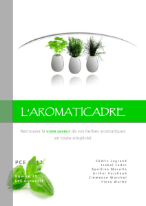 LlAROMATICADRE