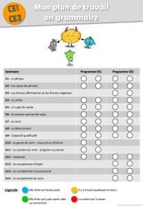 Plan de travail CE1 et CE2