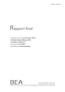 Rapport final