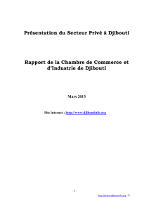 Présentation du secteur privé par la Cha[...] - djiboutinfo.org