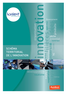 Schéma territorial de l`innovation