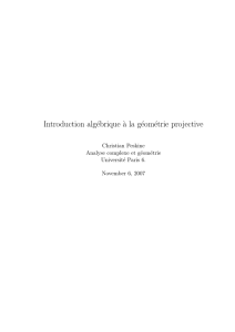 Introduction algébrique `a la géométrie projective