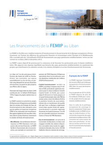 Les financements de la FEMIP au Liban