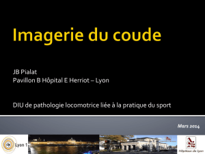 JB Pialat Pavillon B Hôpital E Herriot – Lyon DIU de pathologie