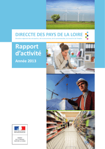 Rapport d`activité - Direccte Pays-de-la