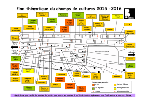 Plan des thématiques du champs de culture 2015-2016