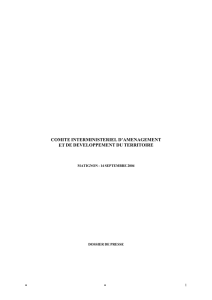 COMITE INTERMINISTERIEL D`AMENAGEMENT ET DE