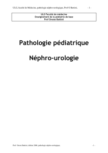 Pathologie pédiatrique Néphro-urologie - ORBi
