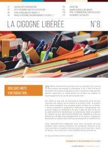 la cigogne libérée n°8
