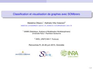 Classification et visualisation de graphes avec SOMbrero