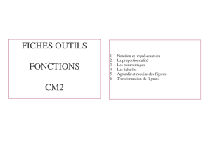 FICHES OUTILS FONCTIONS CM2