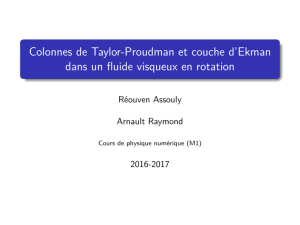 Simulation colonnes de Taylor