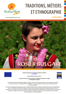 Rosier Bulgare - Bulgariatravel.org.