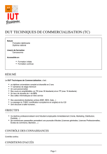 DUT Techniques de Commercialisation (TC)