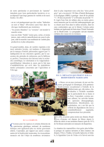 CBD Strategy and Action Plan - Morocco (Part IV, French version)