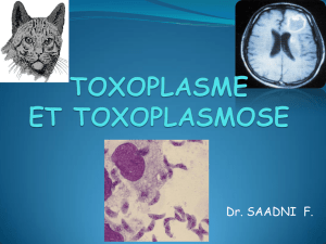 Toxoplasme et toxoplasmose