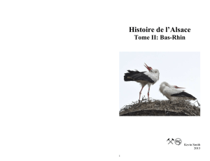 Histoire de l`Alsace