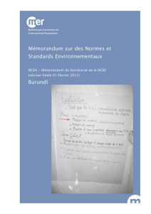 Mémorandum sur des Normes et Standards Environnementaux
