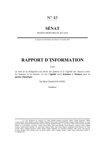 Le rapport au format pdf