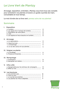Le Livre Vert de Plantzy