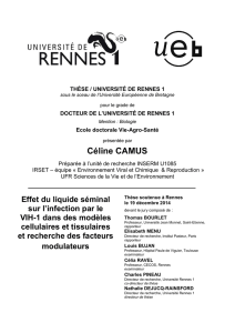 Céline CAMUS - Université de Rennes 1