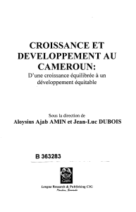 croissance et developpement au cameroun