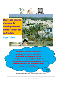 Stratégie et plan d`action de développement durable des oasis en