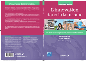 L`innovation dans le tourisme