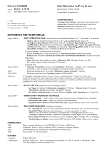 CV téléchargeable (format PDF)