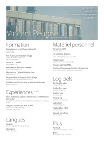 Télécharger mon CV - Vincent Peugnet