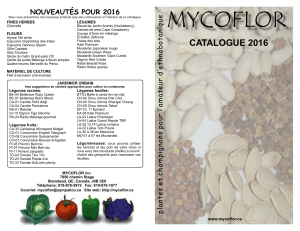 catalogue 2016
