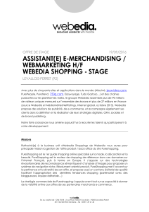 e-merchandising / webmarketing h/f webedia shopping