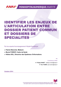 identifier les enjeux de l`articulation entre dossier patient commun et