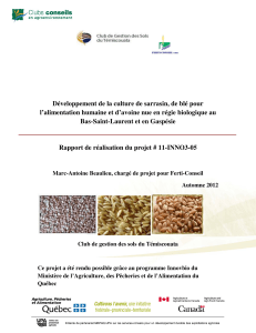 Développement de la culture de sarrasin, de blé pour l`alimentation