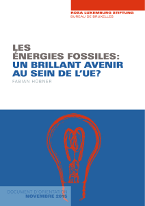 Les énergies fossiLes: un briLLant avenir au sein de L`ue?